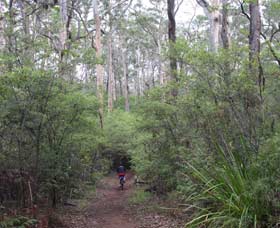 Margaret River Rails Trail - Tourism Noosa 0