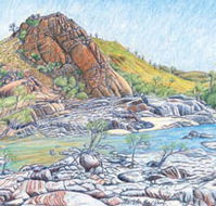 Red Dirt Arts - Tourism Noosa