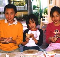 Peel Pottery - Tourism Noosa