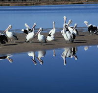 Peel Region Canoe Trails - Tourism Noosa