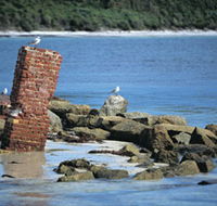 Whalers Beach - Tourism Noosa