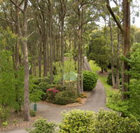 Mount Lofty Botanic Garden - Tourism Noosa