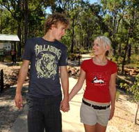 Crooked Brook Forest - Tourism Noosa
