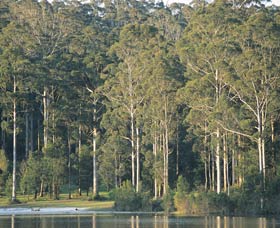 Big Brook Dam - Tourism Noosa 0