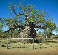 Pigeon Heritage Trail - Tourism Noosa