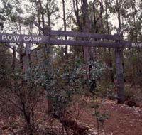 Marrinup Trail Dwellingup - Tourism Noosa