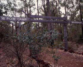 Marrinup Trail, Dwellingup - Tourism Noosa 0
