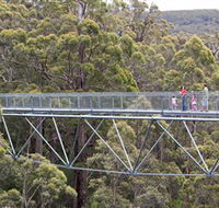 Walpole Wilderness Discovery Centre - Tourism Noosa