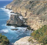 Island Rock and Natural Bridge - Tourism Noosa