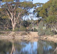 Merredin Railway Dam - Tourism Noosa