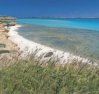 Paradise Beach - Tourism Noosa