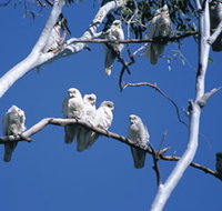 Carawine Gorge - Tourism Noosa