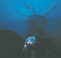 Swan Dive Wreck - Tourism Noosa