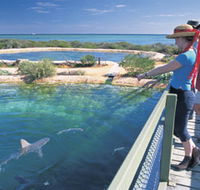 Shark Bay Marine Park - Tourism Noosa