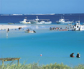 Bill's Bay - Tourism Noosa 0