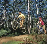 Leeuwin-Naturaliste National Park - Cowaramup - Tourism Noosa