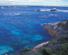 Cosy Corner - Tourism Noosa 0