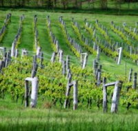 Sienna Estate Winery - Tourism Noosa