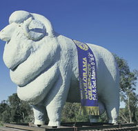 Giant Ram Tourist Park - Tourism Noosa