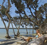 Stokes National Park - Tourism Noosa