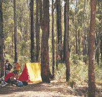 Lane Poole Reserve - Tourism Noosa