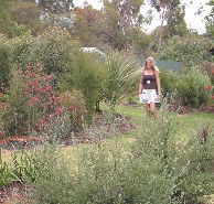The Mythic Mazes - Tourism Noosa