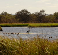 Anytime Adventures in Mandurah  the Peel Region - Tourism Noosa
