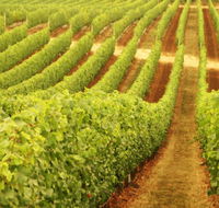 Happs Wines - Tourism Noosa