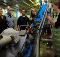 Eyre Peninsula's Seafood Trail - Tourism Noosa