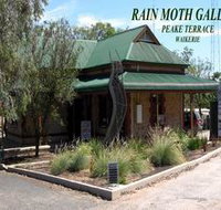 Rain Moth Gallery - Tourism Noosa