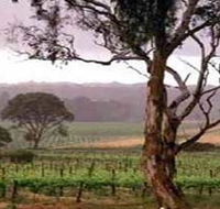 Yangarra Estate Vineyard - Tourism Noosa