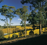 Lobethal Archives And Historical Museum - Tourism Noosa