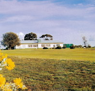 Lucindale Country Club - Tourism Noosa