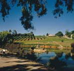Mount Hurtle Winery home of Geoff Merrill Wines - Tourism Noosa