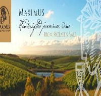 Maximus Wines Australia - Tourism Noosa