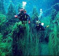 Ewens Ponds Conservation Park - Tourism Noosa