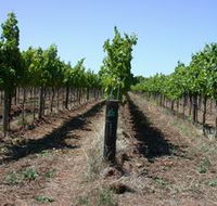 Temple Bruer Winery - Tourism Noosa