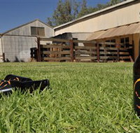 Wilkadene Woolshed Brewery - Tourism Noosa