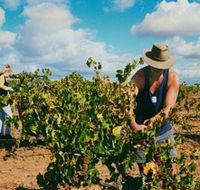 Torbreck Vintners - Tourism Noosa