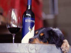 Koonara Wines - Tourism Noosa 0