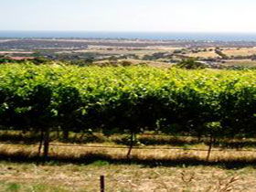 Braydun Hill Vineyard - Tourism Noosa 0
