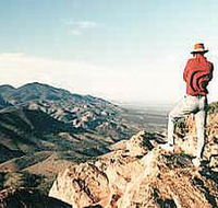Devil's Peak Walking Trail - Tourism Noosa