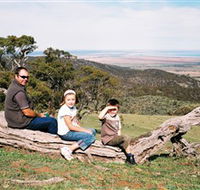 Bridle Track - Tourism Noosa