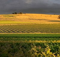 Kellermeister Wines - Tourism Noosa