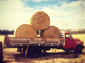 Moorooroo Park Vineyards - Tourism Noosa 0