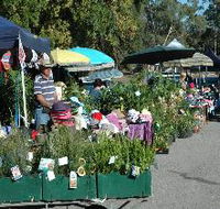 Meadows Monthly Market - Tourism Noosa