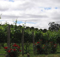 Manyara Vineyard - Tourism Noosa