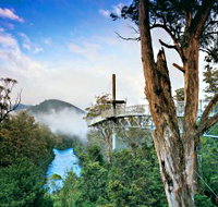 Tahune Adventures Tasmania - Tourism Noosa