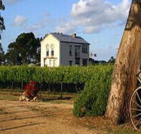 Highbank Vineyards - Tourism Noosa