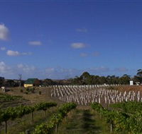 Deep Creek Wines and Alpacas - Tourism Noosa